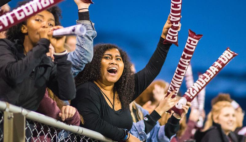 Fans at a soccer game